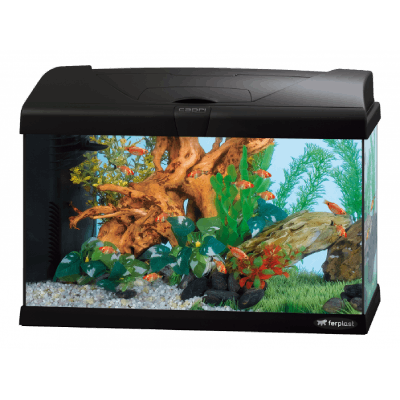 Aquarium aanbiedingen